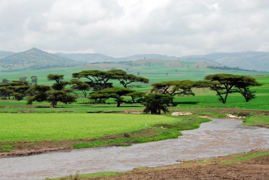 curiosities of Ethiopia