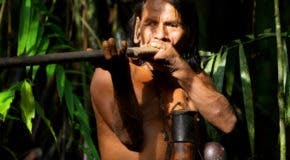 indigenous peoples of the amazon