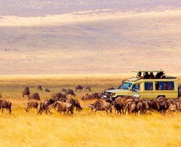 best safaris in Africa