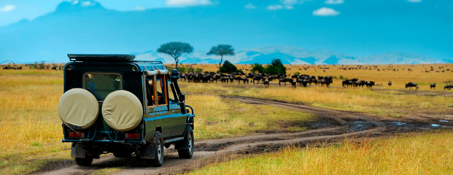African safaris & wildlife tours