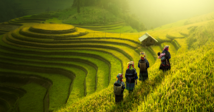 Vietnam: travel on a budget