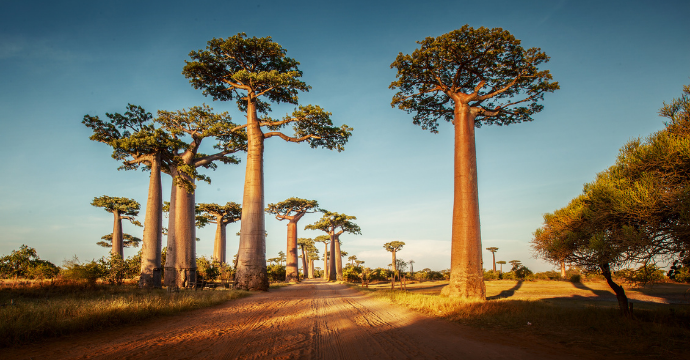 Madagascar exotic places to travel