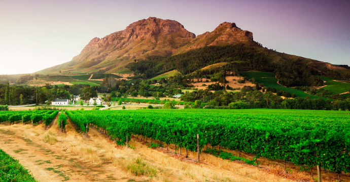 Cape Winelands - best wine destinations in the world