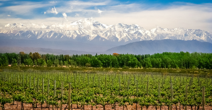 Mendoza - best wine destinations in the world