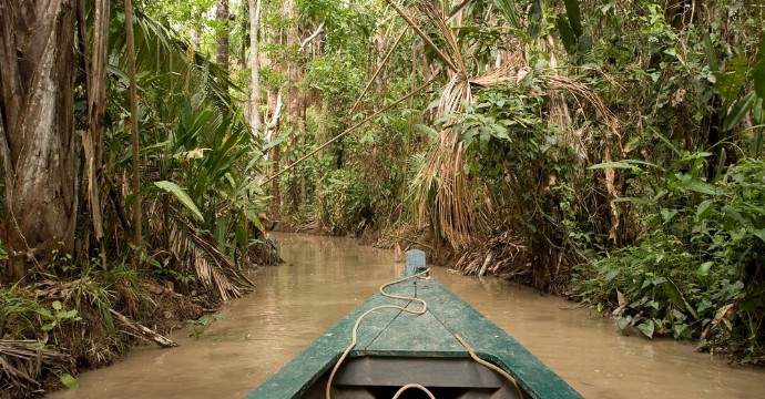 Peru - tours of the Amazon rainforest
