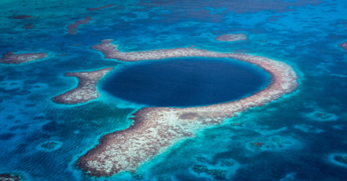 Belize Coral Reefs