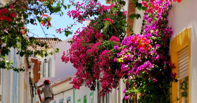 Faro Old Town best things to do in the Algarve