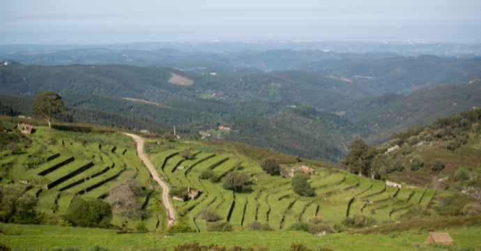 Monchique Mountains - best things to do in the Algarve