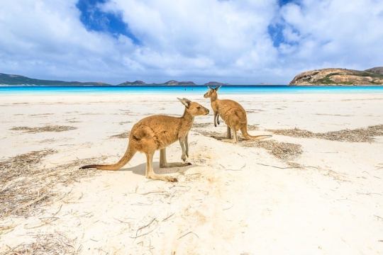 travel to Australia