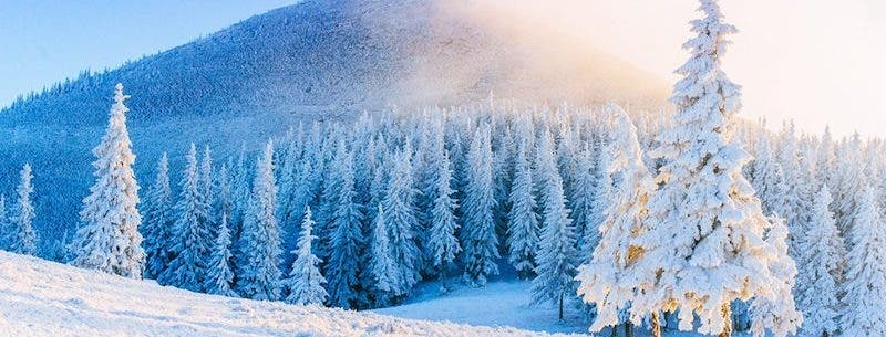 Top-8-winter-trips-What-to-do-during-the-winter-800x360