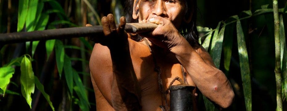 indigenous people of the Amazon
