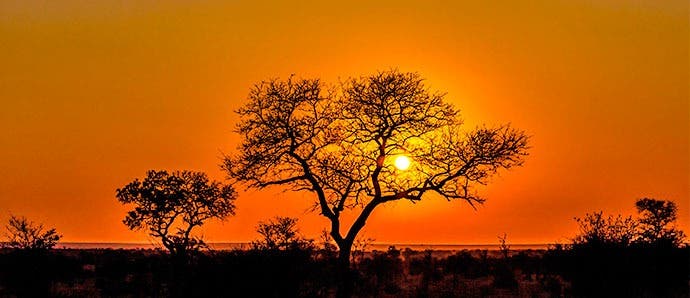 Les 5 meilleurs safaris en Afrique - Exoticca Blog