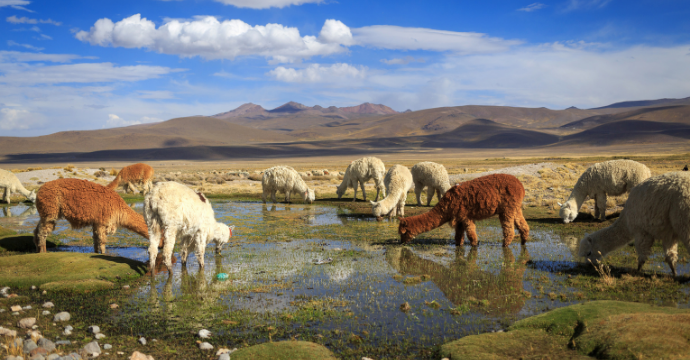 Peru: low-cost holidays South America