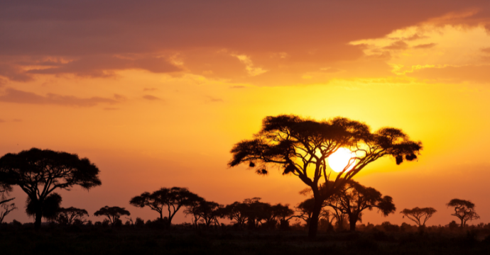 Kenya - best African safaris