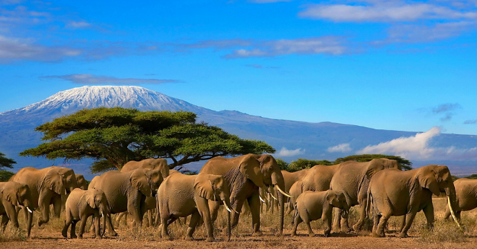 Tanzania - best African safaris