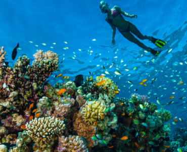 Coral reefs around the world
