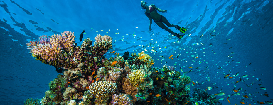 Coral reefs around the world