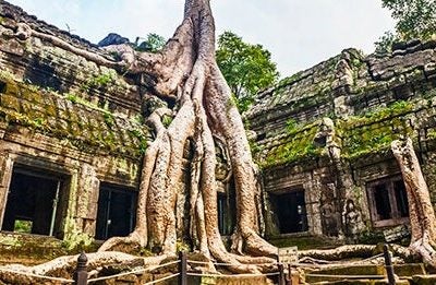 encanto de los templos de angkor