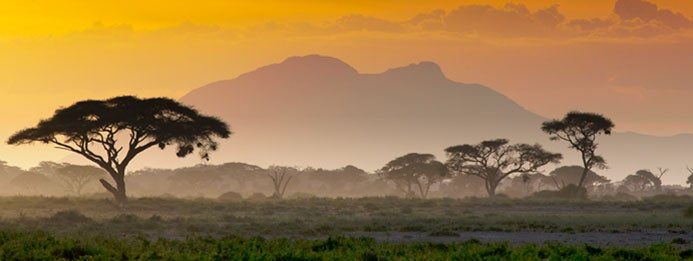 sabana de Kenia