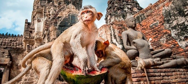 Lopburi