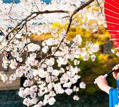 Costumbres japonesas a tener en cuenta al visitar el país del sol naciente