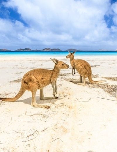 travel to Australia