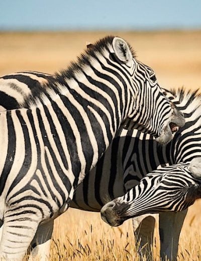 namibie