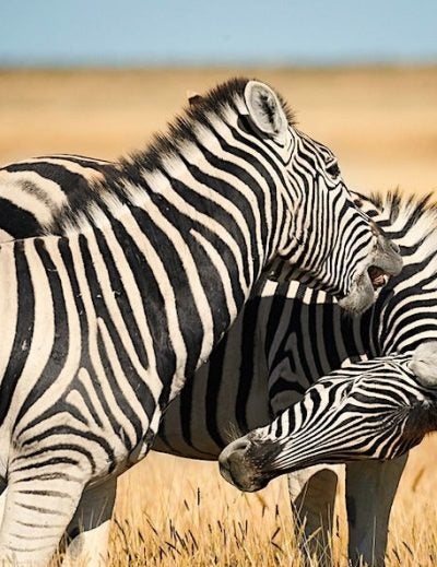 namibia