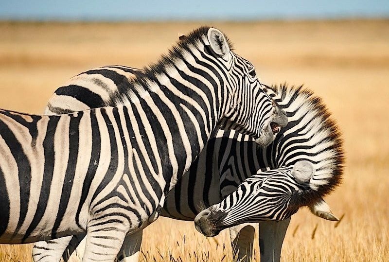 namibia