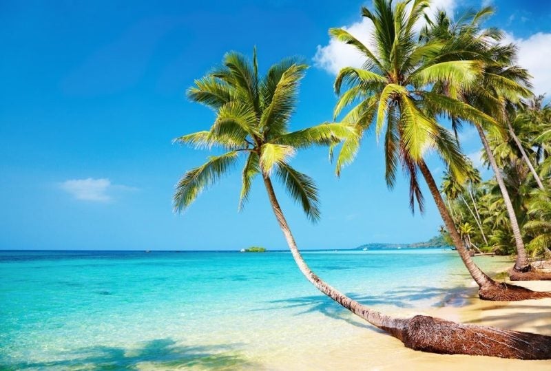 voyages sur des plages paradisiaques