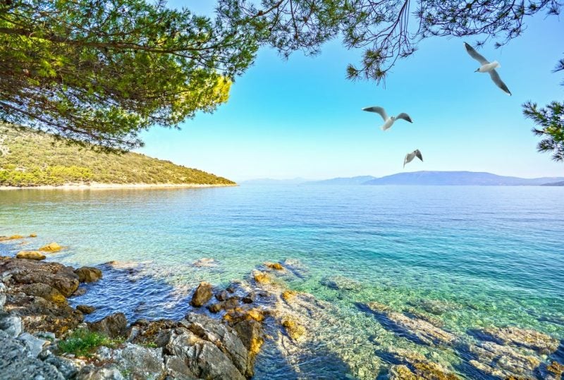 Cuáles-son-los-mejores-destinos-para-2020-Prepara-tus-viajes
