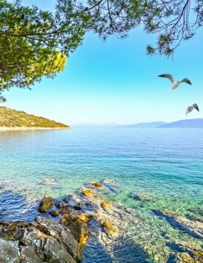 meilleures destinations pour 2020