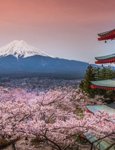 Juegos olímpicos 2020 en Tokio | Descubre Japón