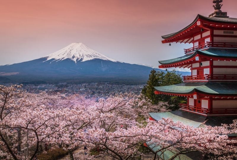 Juegos olímpicos 2020 en Tokio | Descubre Japón