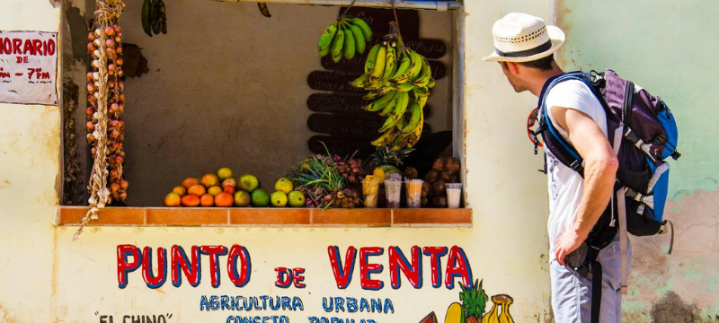 best vegetarian and vegan destinations