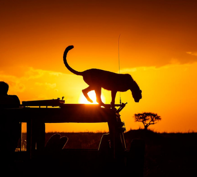 South Africa - best African safaris