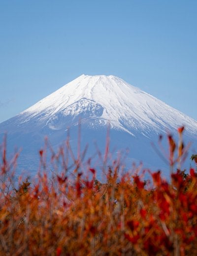 Snow-capped Mt. Fuji above vibrant red and gold autumn leaves