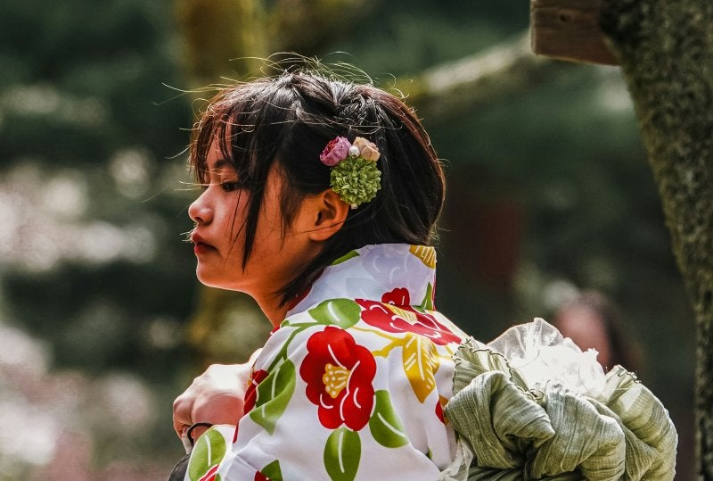 Maiko in beautiful kimono performing traditional Gion Odori in Kyoto