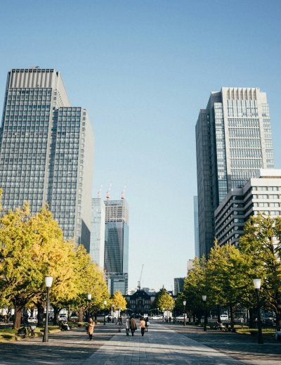 Rows of yellow ginkgo trees mark autumn festival in western Tokyo