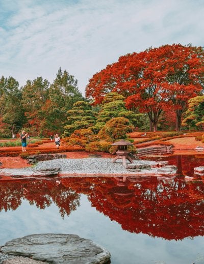 momiji imperial palace tokyo autumn