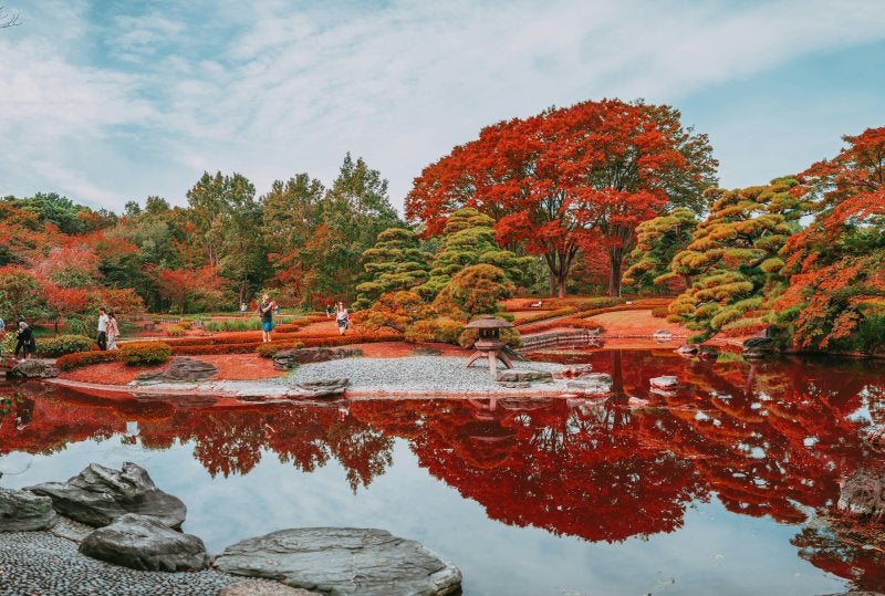 momiji imperial palace tokyo autumn