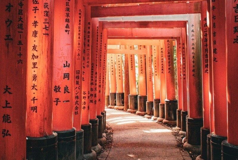 shrine, torii, japan, fushimi, nature, temple, kyoto, fushimi inari, japanese, culture, asia, architecture, traditional, famous, landmark, sightseeing, fushimi-inari shrine, historical, tourism