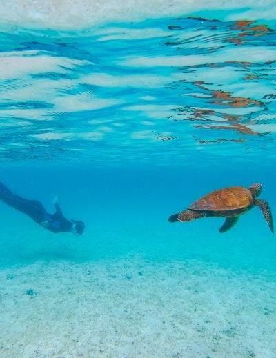 Diving Ecuador