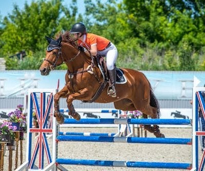 Show jumping horse and rider clearing hurdle at equestrian event