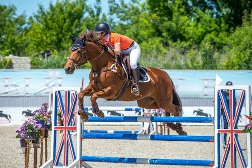 Show jumping horse and rider clearing hurdle at equestrian event