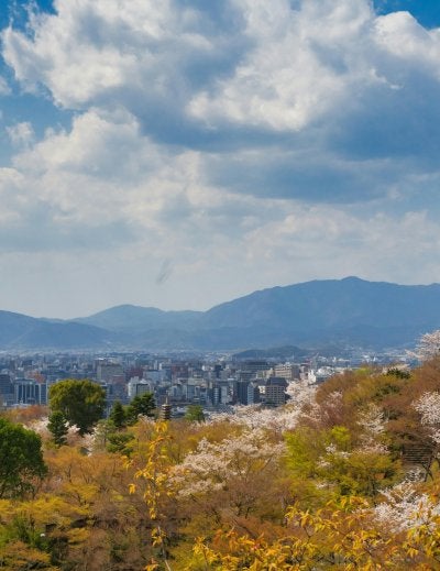 Kiyomizu-dera Temple in Kyoto surrounded by spring cherry blossoms