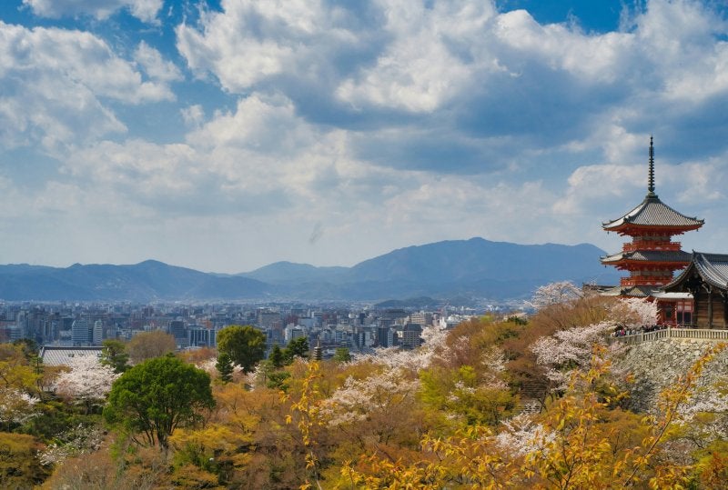 Kiyomizu-dera Temple in Kyoto surrounded by spring cherry blossoms