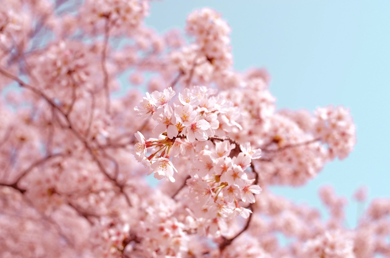 unsplash-McsNra2VRQQ.jpg