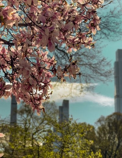 Foto de Kayl Photo en Unsplash