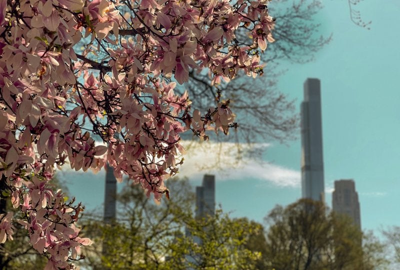 Foto de Kayl Photo en Unsplash